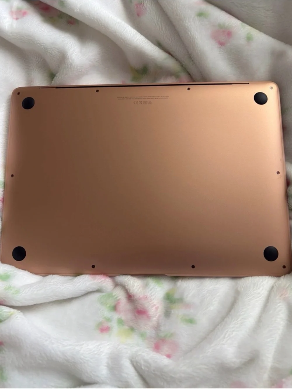 Apple 13